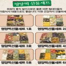 충북,음성,음성군,금왕읍,이바지떡,폐백떡,돌떡,행사떡,떡케익,떡집,잘하는곳,오복떡집