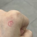 사이버 모텔 | 뿡