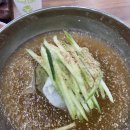 [서산 맛집] 무더위 날려줄 '숯불고기+냉면' 꿀조합! 서산 고박사냉면 본점 리얼 후기 🍜🔥