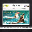 삼팔이 이미지