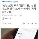 한남 20명 찌르러간다는 30대 한녀, 징역 3년 구형 이미지