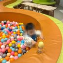 푸꾸옥 남부 숙소 풀빌라 가성비 아기랑 대가족 뉴월드리조트 후기