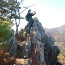 괭이바다 이미지