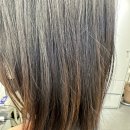 한나헤어샵 | [공지] 염색, 클리닉전문 “하이컬러 연남점” 홍대