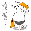 세종프리다이빙 이미지