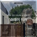 이아 | 가족여행으로 강추하는 제주 한림 감성숙소 ‘스테이이아’ 내돈내산 후기, 안거리+밖거리