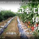 우정농원 이미지
