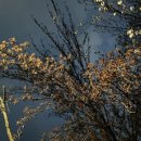 완산도서관 화장실 이미지