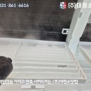 대청소닷컴 이미지