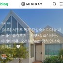 다채놀 이미지