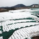 제주도산북소각장주민지원협의체