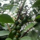 종숙농장 이미지