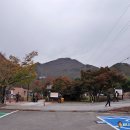 녹두평전 | 전남 장성 입암산(626m) 살아 숨쉬는 역사 유적지의 생태계 寶庫(2023.11.11)