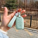 기아상회 | 기아 자동차키케이스 레이 한남동상회 봄맞이 민트 컬러 교체 후기