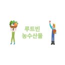 루트빈 이미지