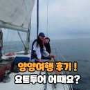 와이와이씨