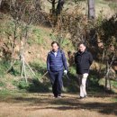 농업회사법인(주)진영 이미지