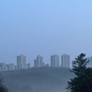 수원-0317 이미지