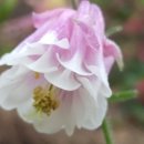 한농한의원 이미지