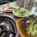 콩사랑마을 이미지