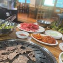 워킹도고