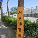 서호(여) 이미지