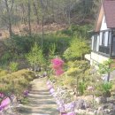 별헤는 몰랑 이미지