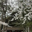 (주)아름다운제주여행 이미지