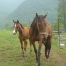 파크펜션 이미지