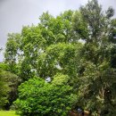 보타니코 | 부에노스아이레스 공항 근처 공원 하르딘 보타니코 지하철 수베카드 품절