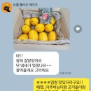성주 꿀참외 온라인 택배주문 프레델 내돈내산