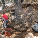 주식회사 영주환경 이미지