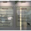 흑온심흑염소
