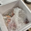 해동회센타
