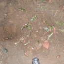 이건환경 이미지