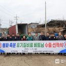 늘푸른(주)