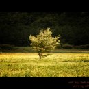 나리 야영장 옆 이미지