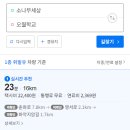 소나무세상 이미지