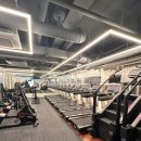 라이크 짐 이미지