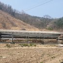 상동길 이미지