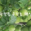 파란들농원 이미지