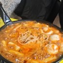 <26년 2분기 일상> 임신중기 황금기 일상, 열심히 여행다닌 봄여름