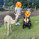 알파목장 이미지