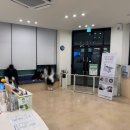 다정한동물메디컬센터