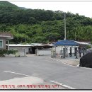 소월리 마을회관 앞 이미지