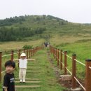 표선풍천장어