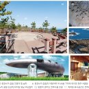 (주)코라드 이미지