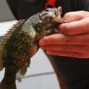 웰컴투오미골 이미지