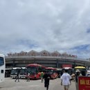 새오약국 이미지