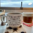 1333 | 대전 오정동 한남대학교 신상 느좋카페 고아웃스트릿 빈티지 안경 맛집